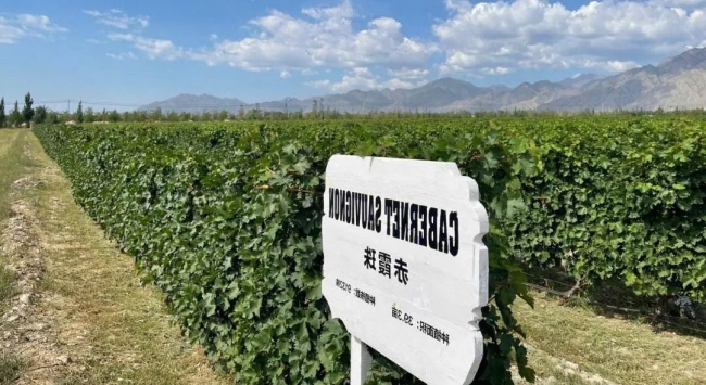 中國寧夏賀蘭山_650 中國寧夏賀蘭山_650