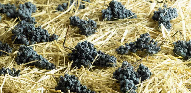 葡萄酒糖分越高，酒精度就越低？