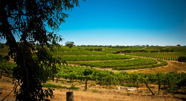 澳大利亞麥克拉倫谷葡萄酒產區(qū)